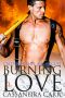 [Calendar Men 08] • Burning Love